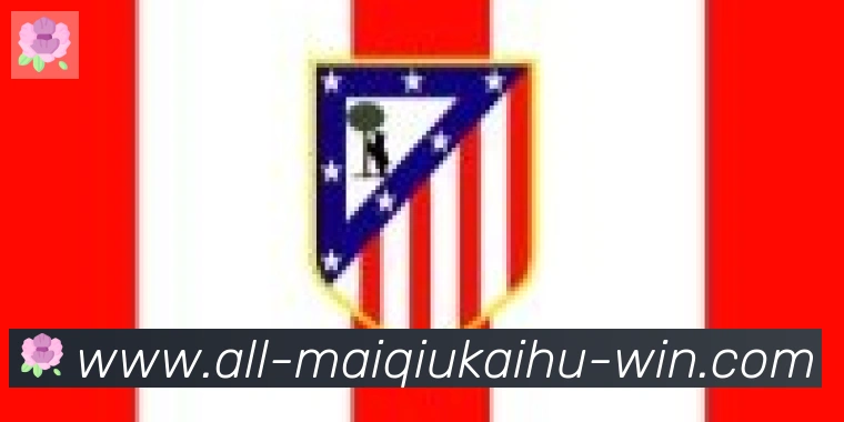 买球开户合作伙伴